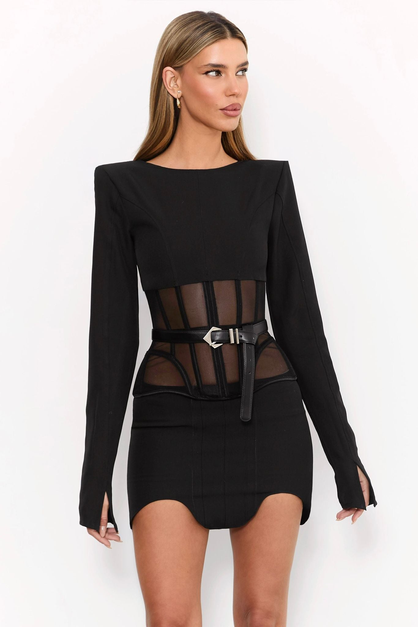 חליפה טיילור